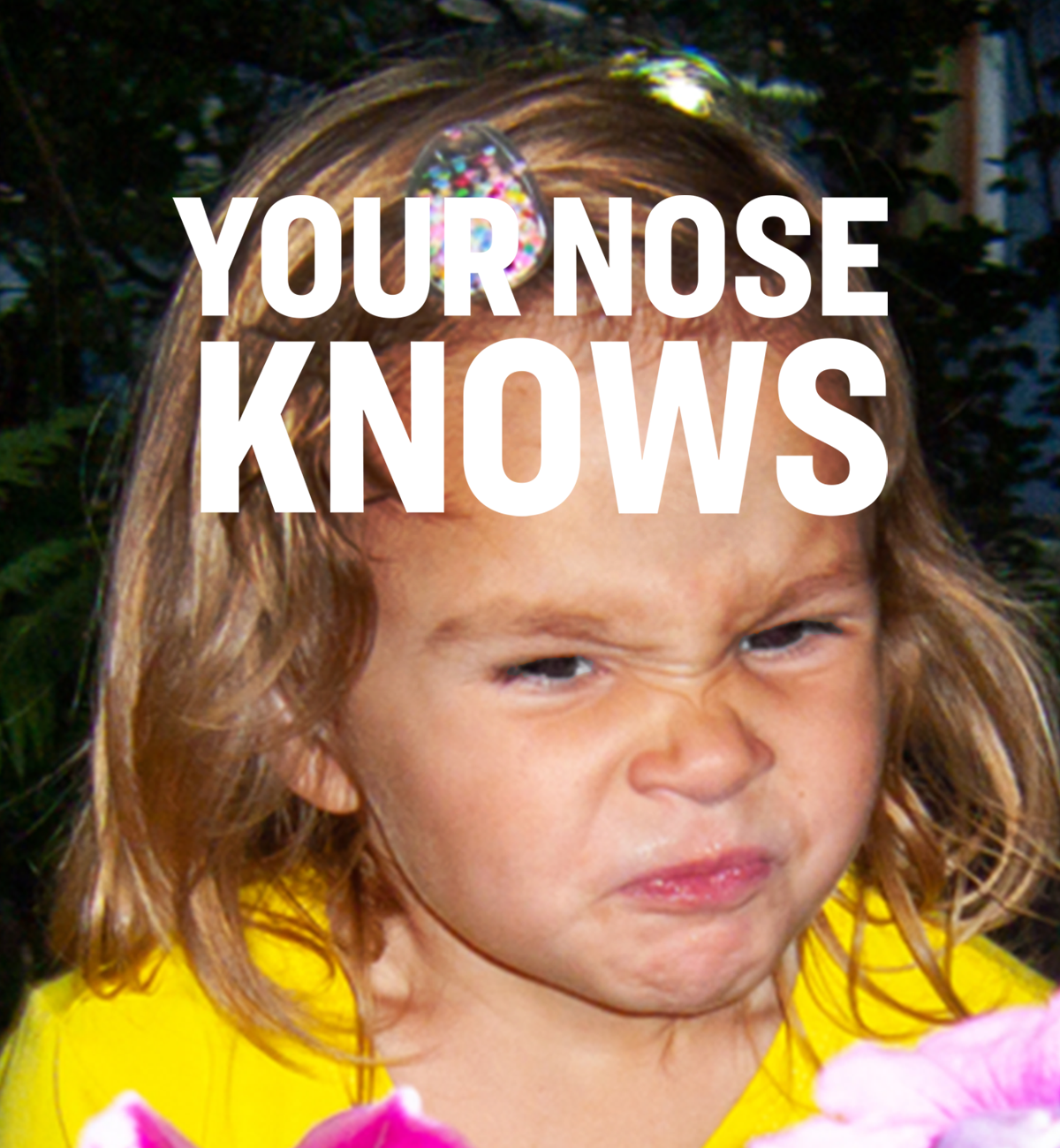 your nose knows