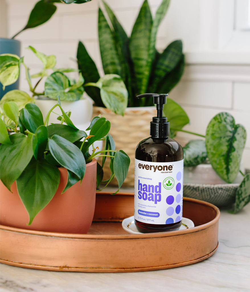 Everyone Hand Soap Lavender + Coconut